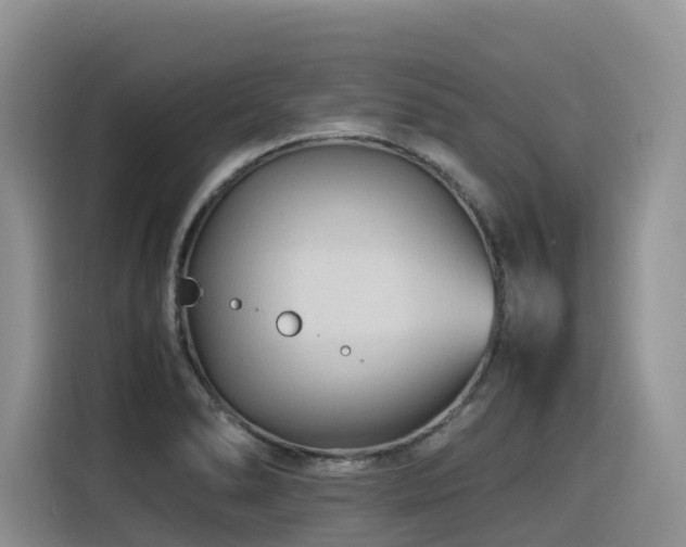 X0000116371278200912021146