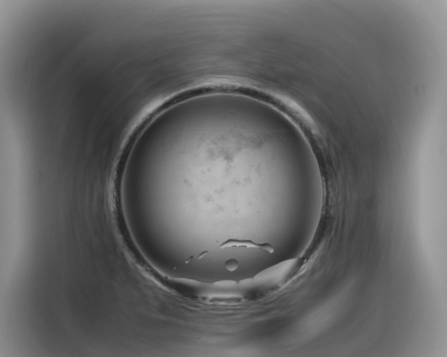 X0000116371279200912021146