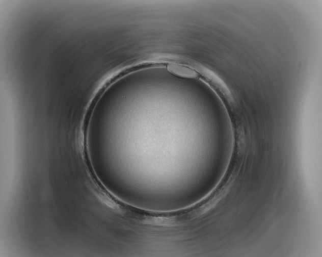 X0000116371280200912021146