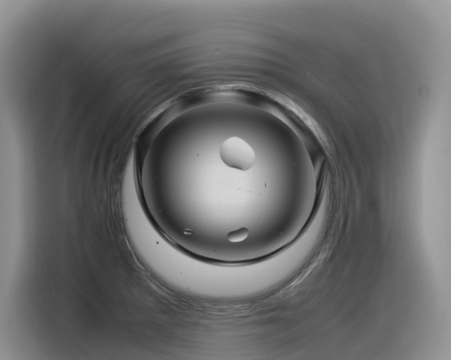 X0000116371281200912021146
