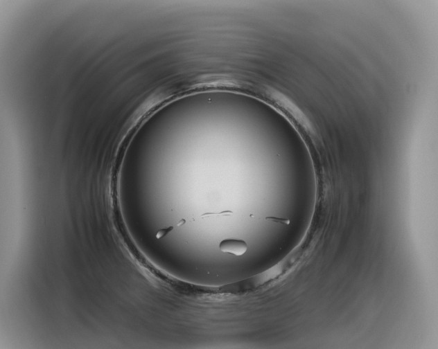X0000116371282200912021146