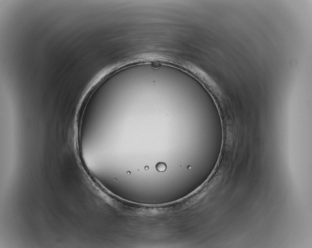 X0000116371286200912021146