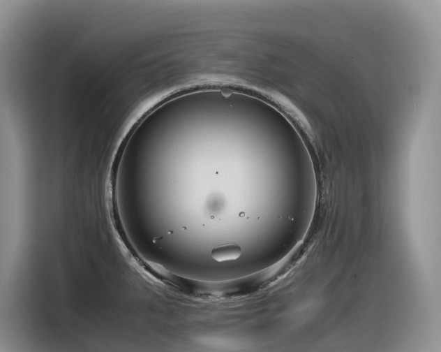 X0000116371287200912021146