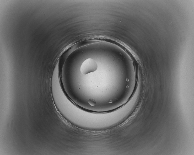 X0000116371289200912021146