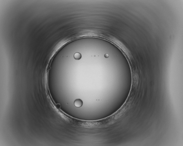 X0000116371290200912021146