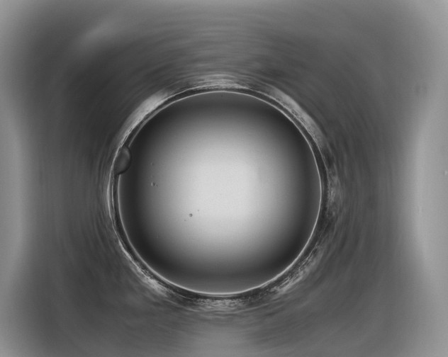 X0000116371293200912021146