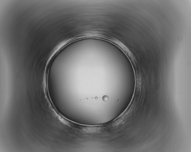 X0000116371294200912021146