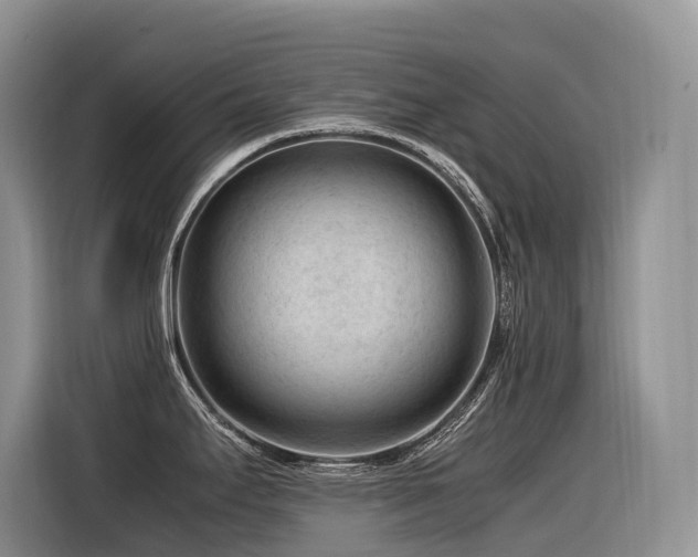X0000116371295200912021146