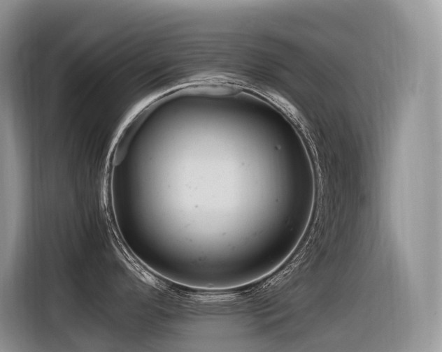 X0000116371296200912021146