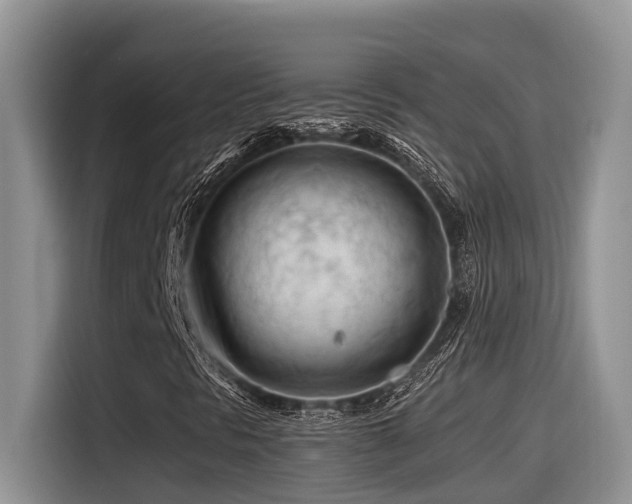 X0000116371297200912021145