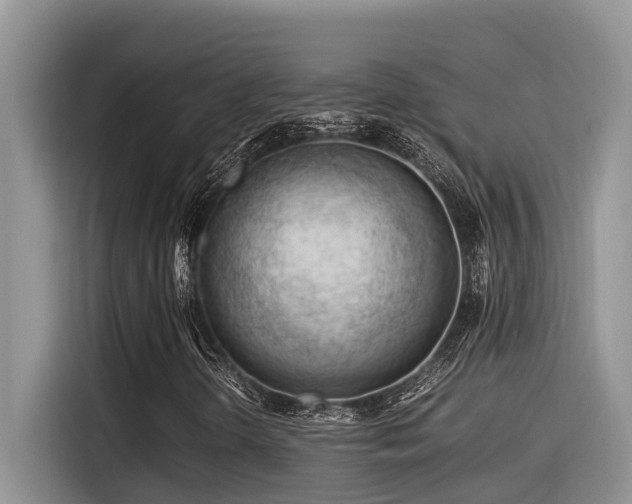 X0000116371298200912021145