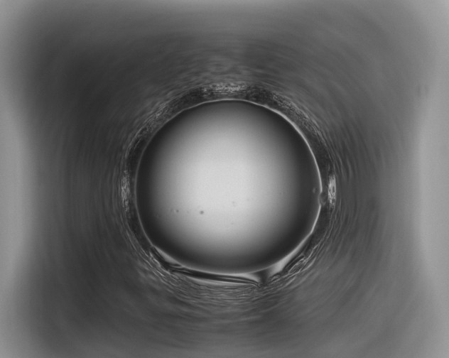X0000116371299200912021145
