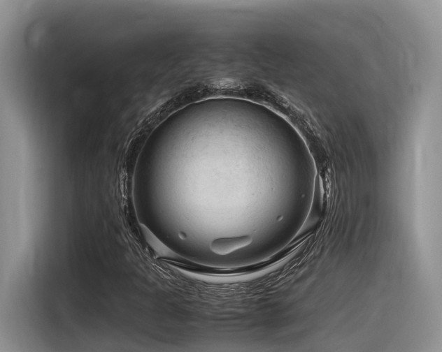 X0000116371301200912021145