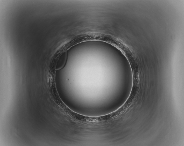 X0000116371302200912021145