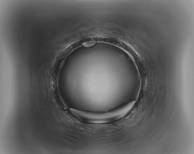 X0000116371303200912021145