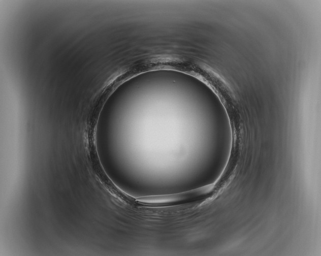 X0000116371305200912021145