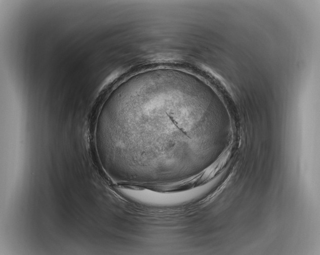X0000116371306200912021145