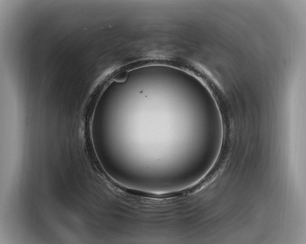 X0000116371307200912021145