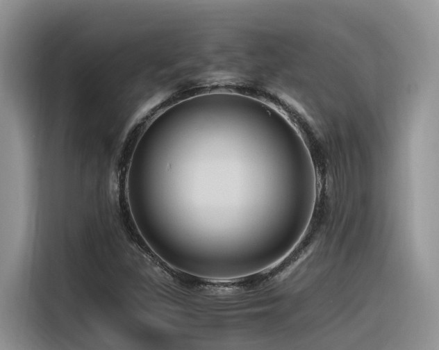 X0000116371309200912021145