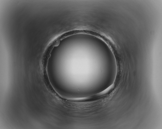X0000116371311200912021145