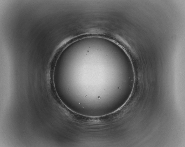 X0000116371315200912021145