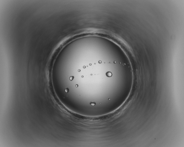 X0000116371318200912021145