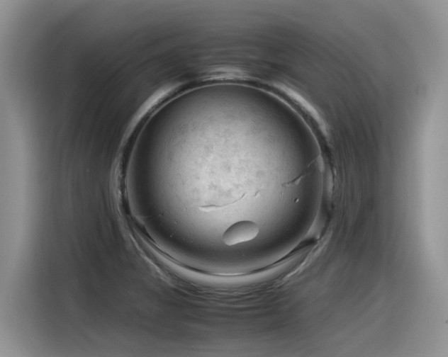 X0000116371325200912021145