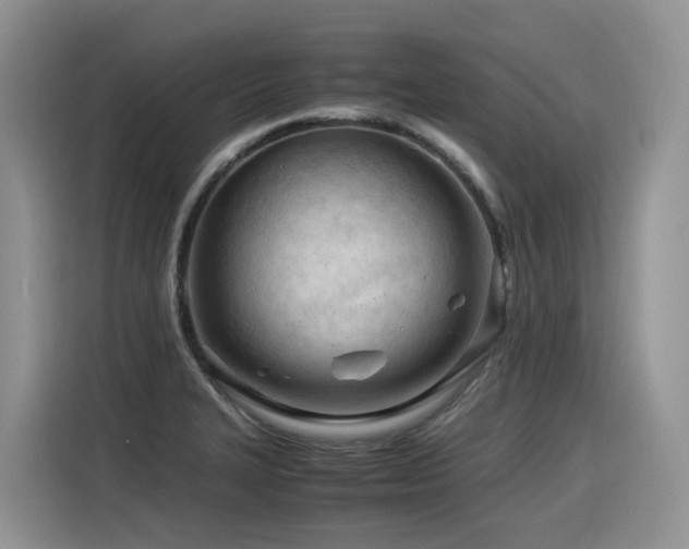X0000116371327200912021146