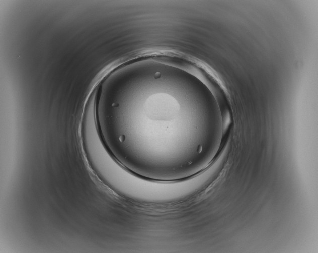 X0000116371330200912021146