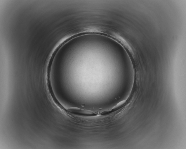 X0000116371331200912021146