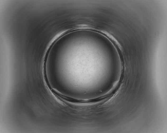 X0000116371333200912021146