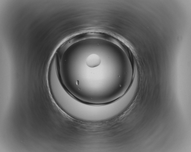 X0000116371334200912021146