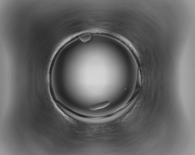 X0000116371335200912021146