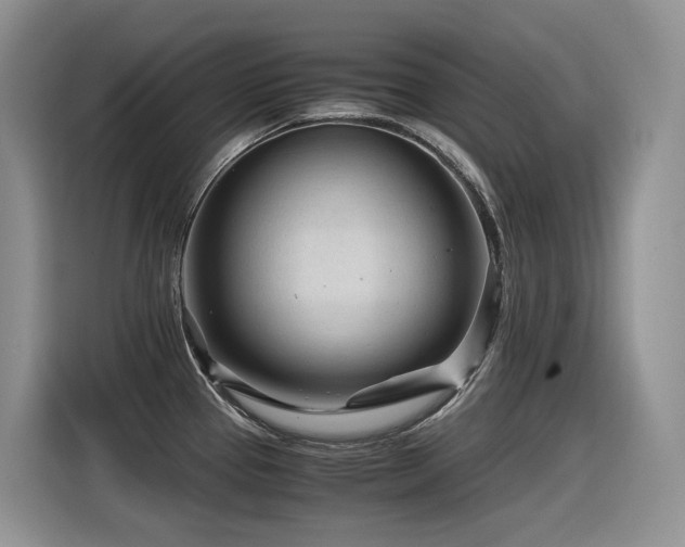 X0000116371337200912021146