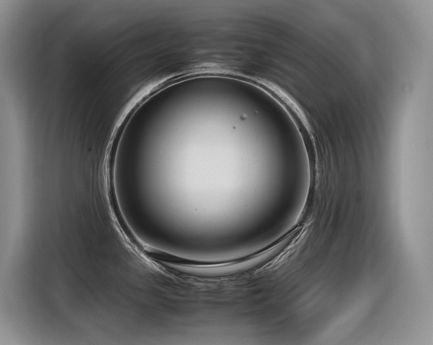 X0000116371341200912021146