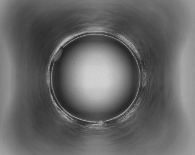 X0000116371342200912021146