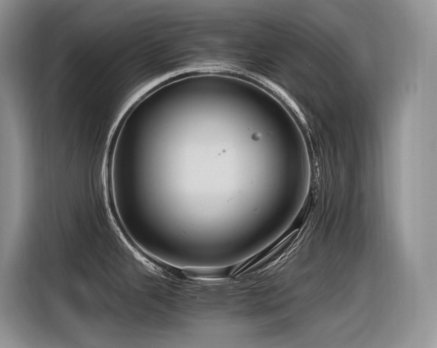 X0000116371343200912021146