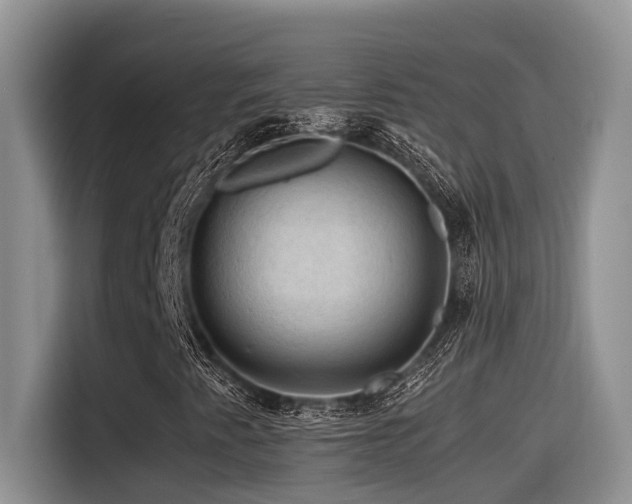 X0000116371345200912021145