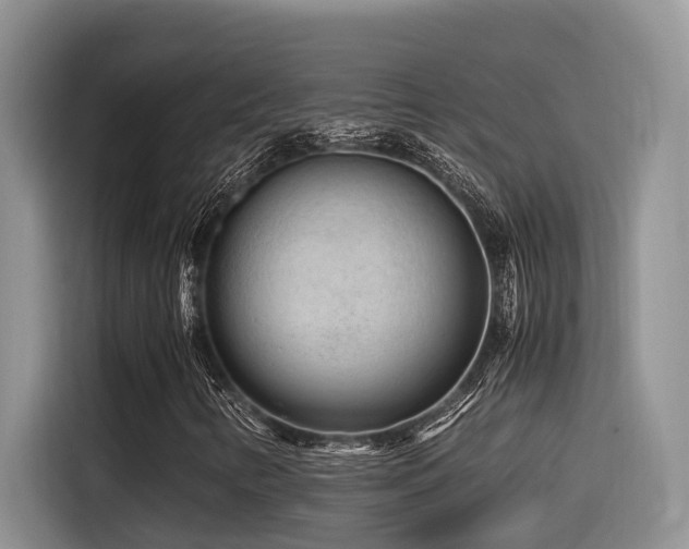 X0000116371346200912021145