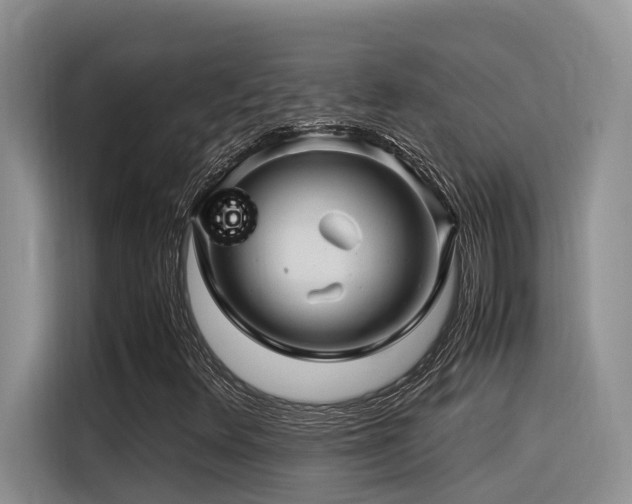 X0000116371348200912021145