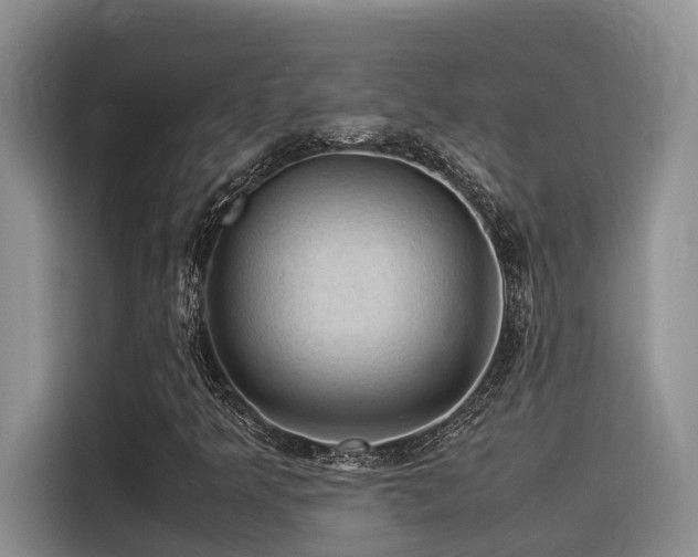 X0000116371349200912021145