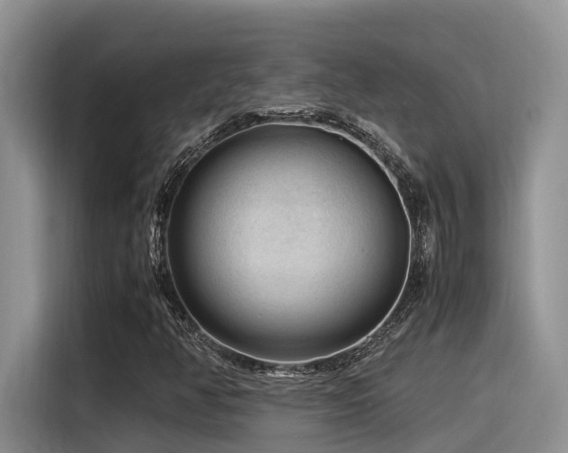 X0000116371350200912021145