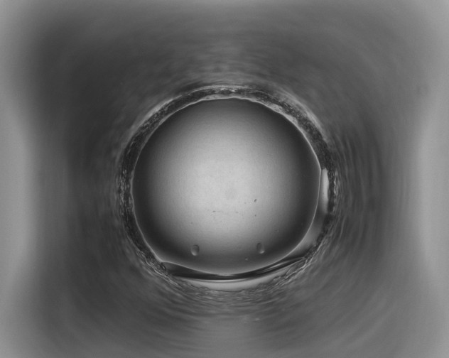 X0000116371352200912021145