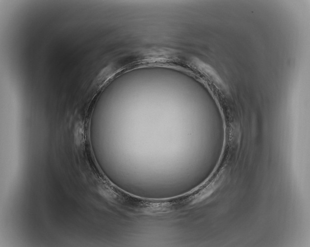 X0000116371353200912021145