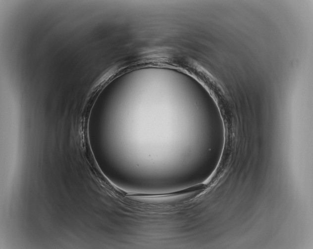 X0000116371354200912021145