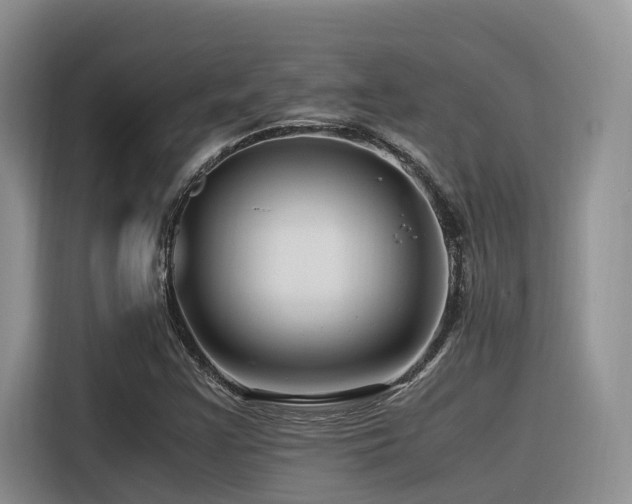 X0000116371355200912021145
