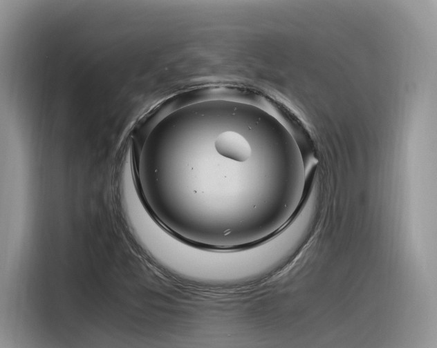 X0000116371357200912021145