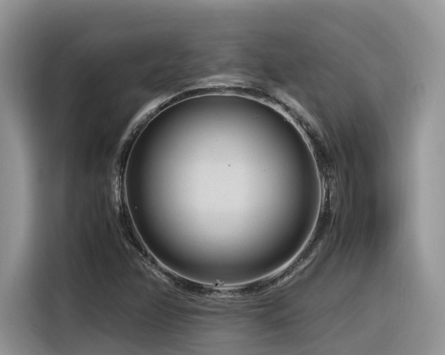 X0000116371358200912021145