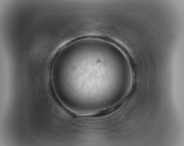 X0000116371359200912021145