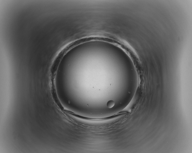 X0000116371360200912021145